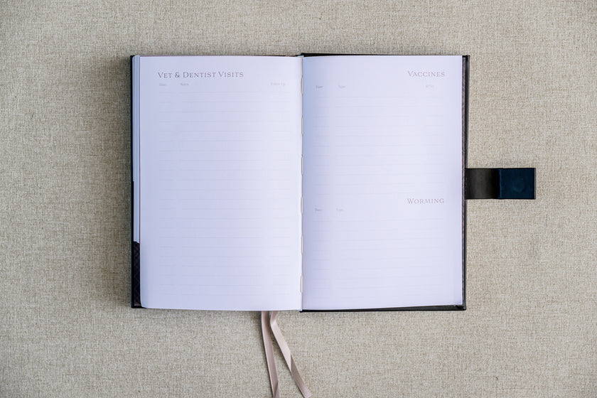 Riding & Training Journal